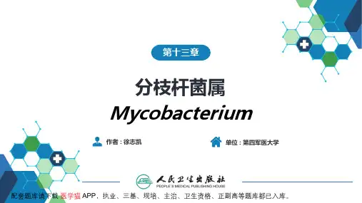 第九版医学微生物学-第一篇 细菌学 第十三章  分枝杆菌属