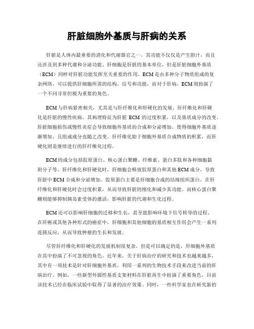 肝脏细胞外基质与肝病的关系
