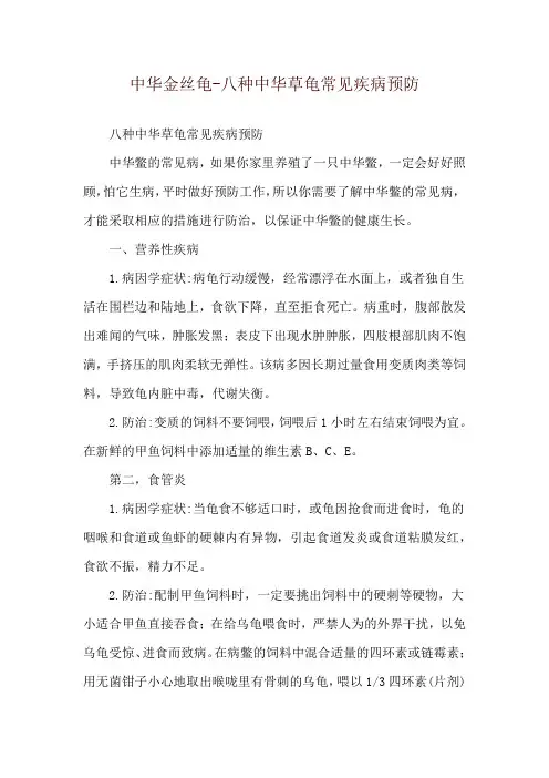 中华金丝龟-八种中华草龟常见疾病预防