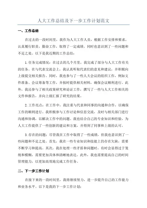 人大工作总结及下一步工作计划范文