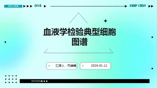 血液学检验典型细胞图谱PPT
