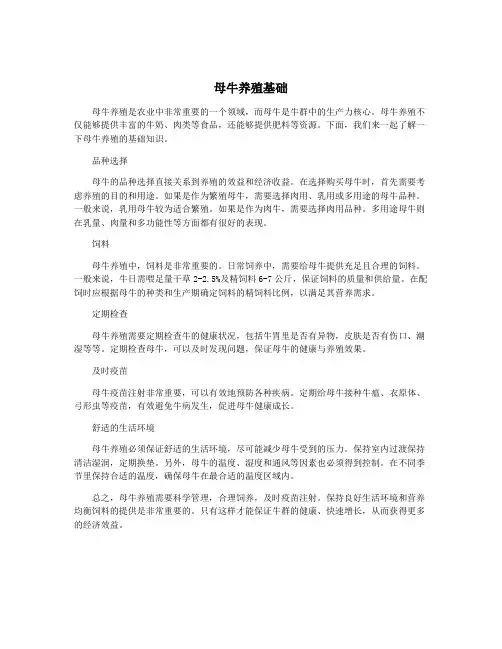 母牛养殖基础