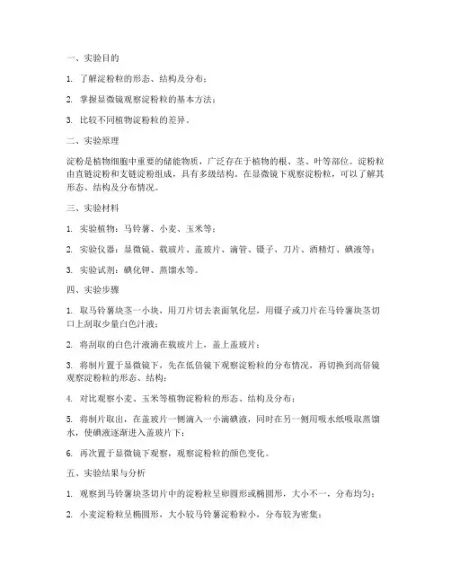 淀粉粒观察实验报告