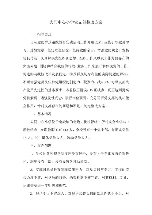 大同中心小学党支部整改方1