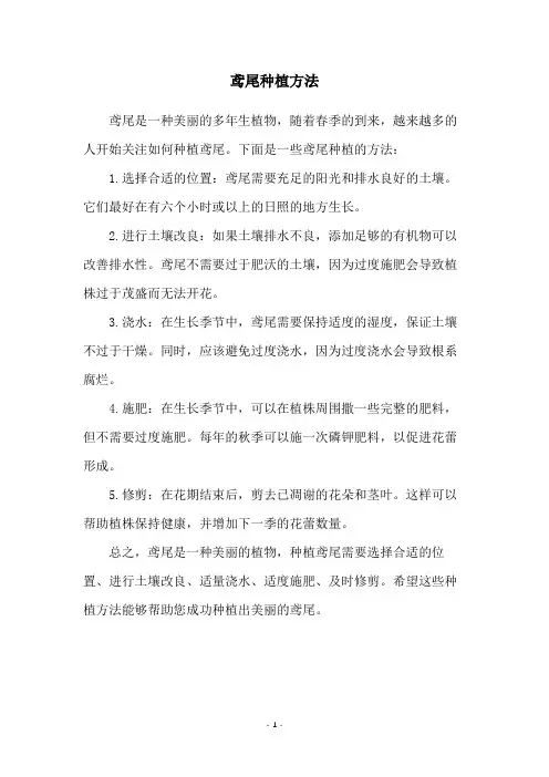 鸢尾种植方法
