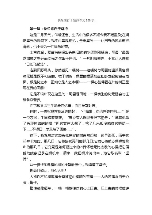 快乐来自于坚持作文800字_关于快乐的作文_
