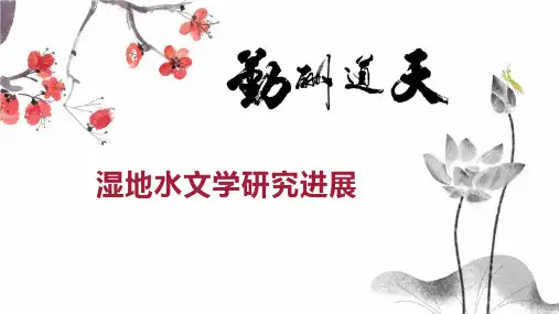 湿地水文学研究进展