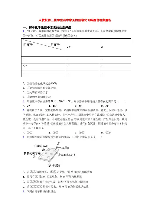 人教版初三化学生活中常见的盐培优训练题含答案解析