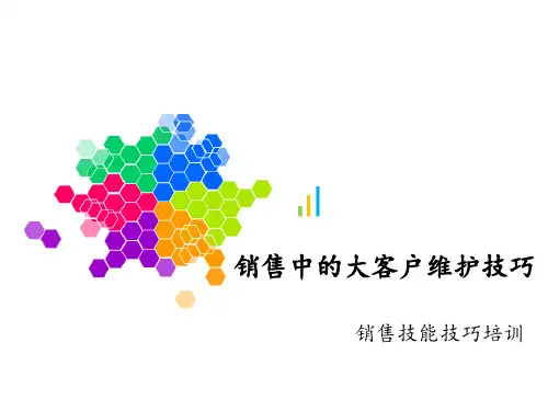 大客户维护的技巧 ppt课件