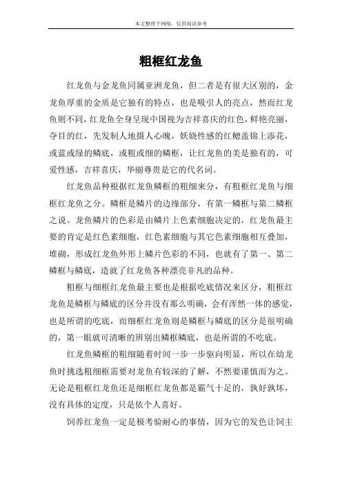 粗框红龙鱼