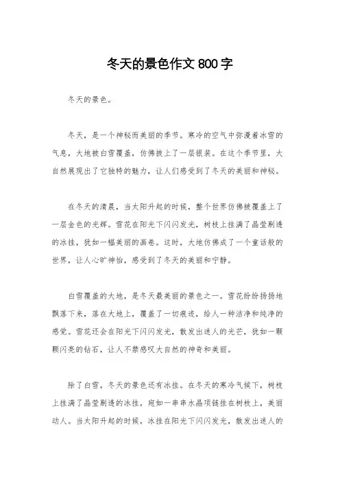 冬天的景色作文800字