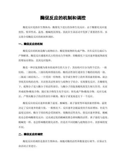 酶促反应的机制和调控