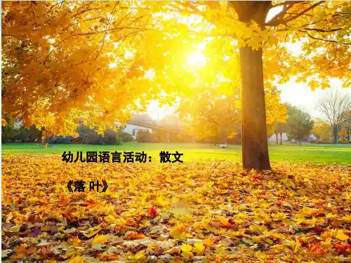 幼儿园大班语言活动《落叶》--完整版PPT课件全