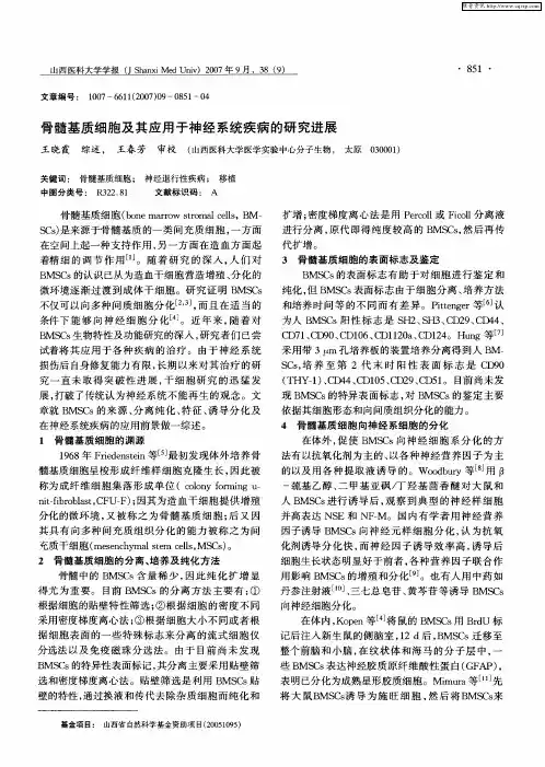 骨髓基质细胞及其应用于神经系统疾病的研究进展
