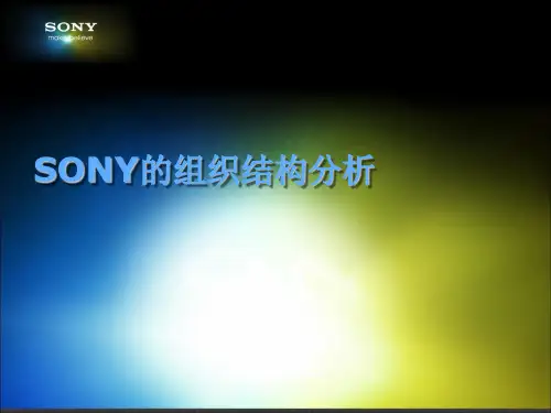 SONY公司的组织结构