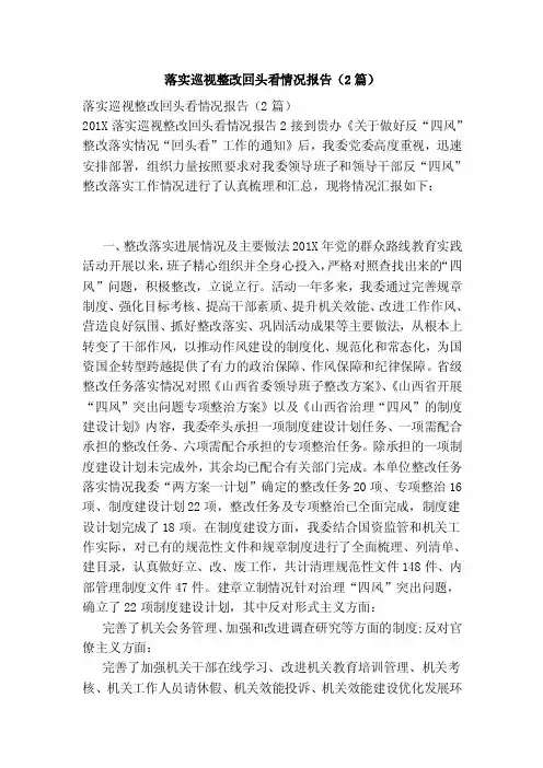 落实巡视整改回头看情况报告（2篇）（完整版）