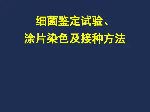 临床微生物学检验理论课：02细菌鉴定试验-涂片染色