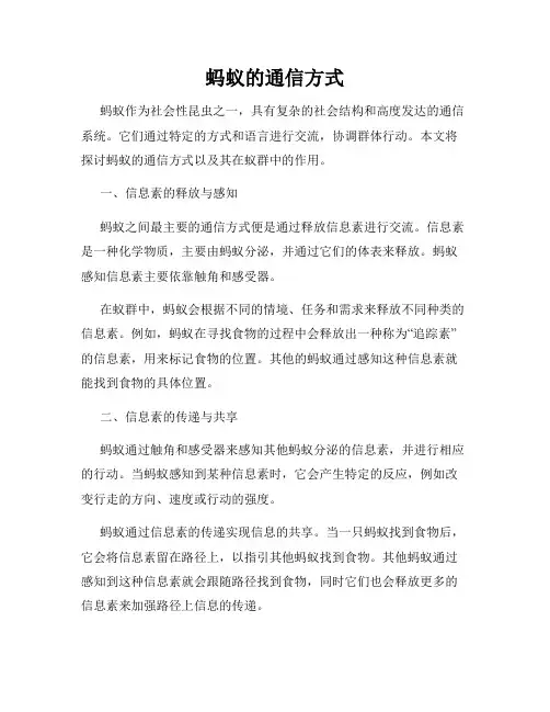 蚂蚁的通信方式