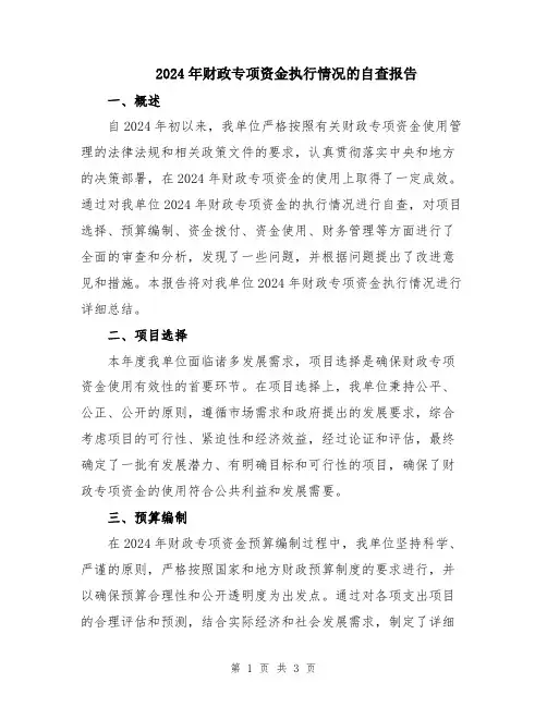 2024年财政专项资金执行情况的自查报告
