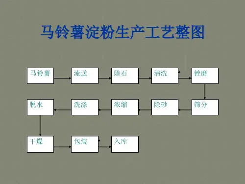 马铃薯工艺流程图