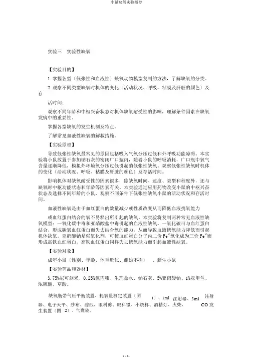 小鼠缺氧实验指导