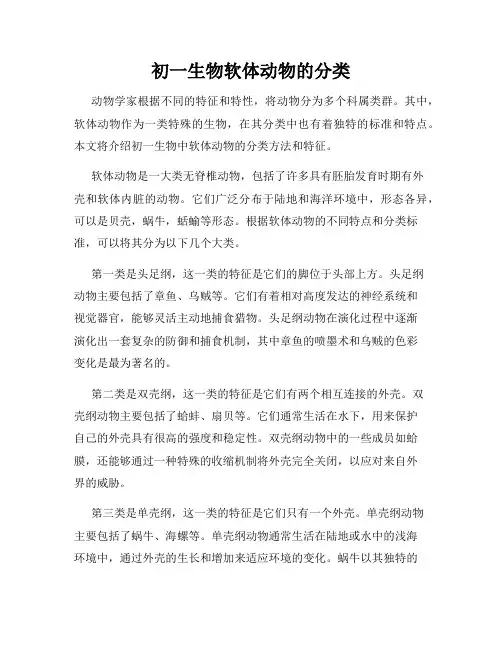 初一生物软体动物的分类