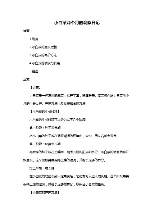 小白菜两个月的观察日记