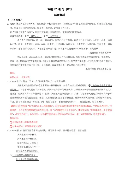 2021年中考语文复习专题：补写、仿写(解析版)