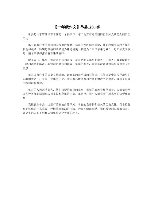 【一年级作文】单县_250字