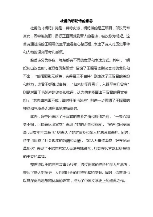 杜甫的明妃诗的意思
