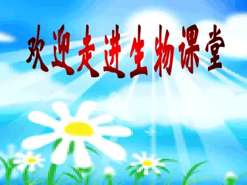 济南版七年级下册第四章第一节 尿的形成和排出(共22张PPT)