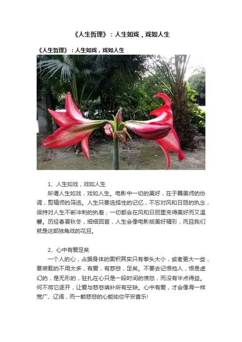 《人生哲理》：人生如戏，戏如人生