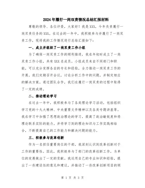 2024年履行一岗双责情况总结汇报材料