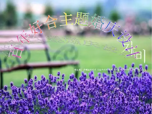 薰衣草主题婚礼——薰衣草之恋