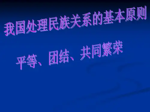 处理民族关系的基本原则