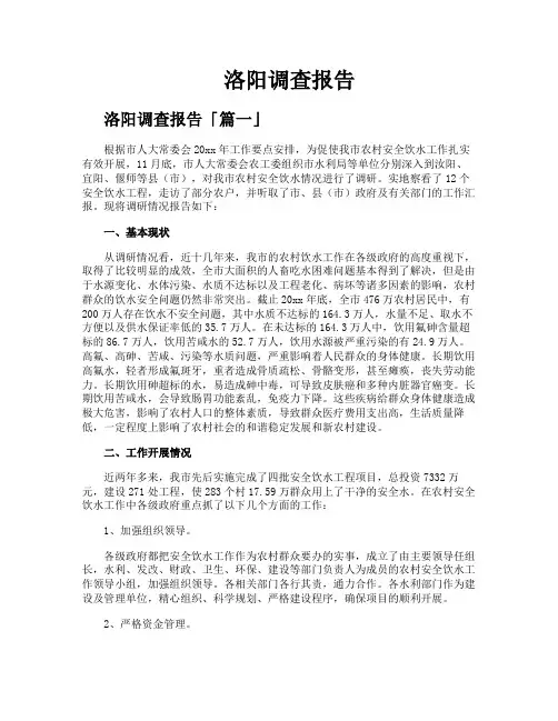 洛阳调查报告