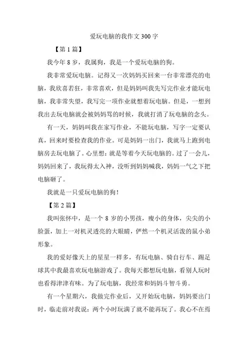 爱玩电脑的我作文300字.doc