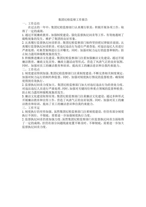 集团纪检监察工作报告