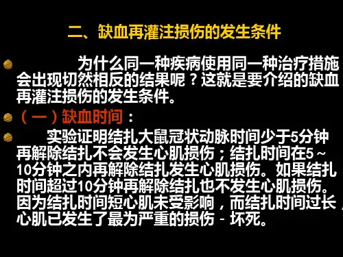 新编第11章缺血再灌注损伤000002PPT课件