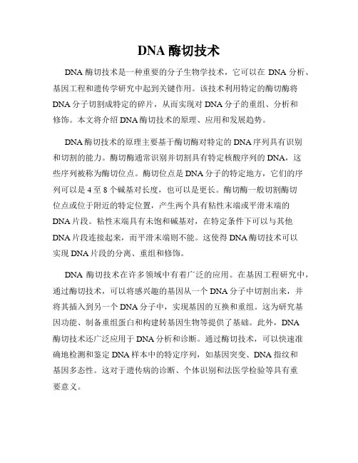 DNA酶切技术