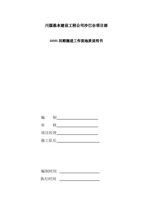 10501回顺地质说明书