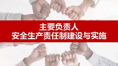 主要负责人安全生产责任制建设与实施(138页)