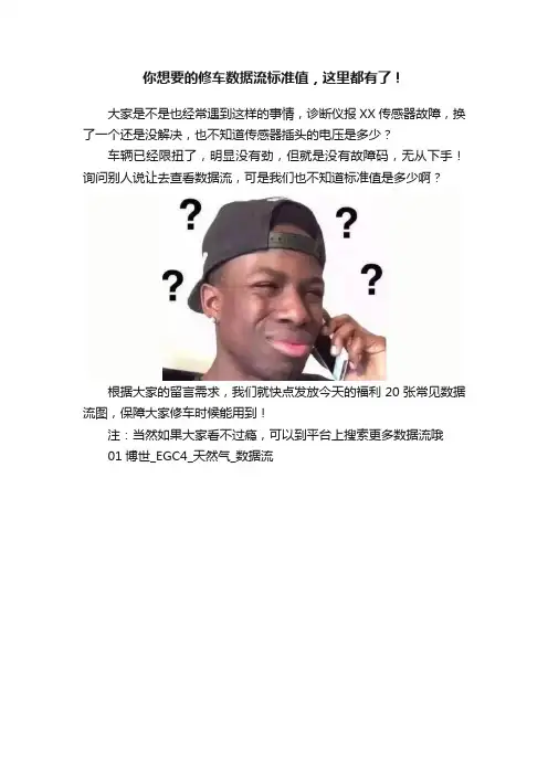 你想要的修车数据流标准值，这里都有了！