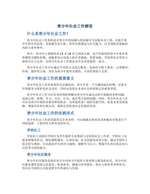 青少年社会工作解读