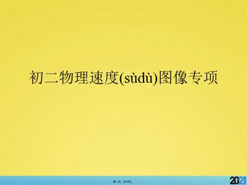 初二物理速度图像专项标准版资料