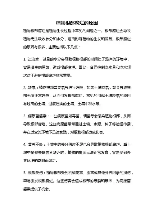 植物根部腐烂的原因