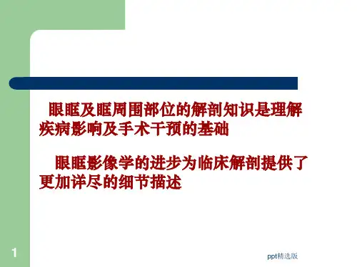 眼眶骨性解剖及临床ppt课件