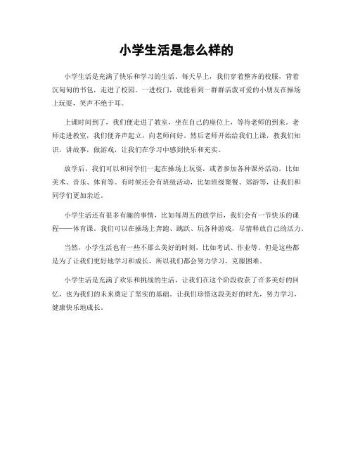 小学生活是怎么样的