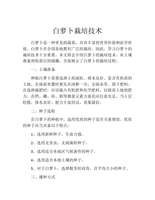 白萝卜栽培技术