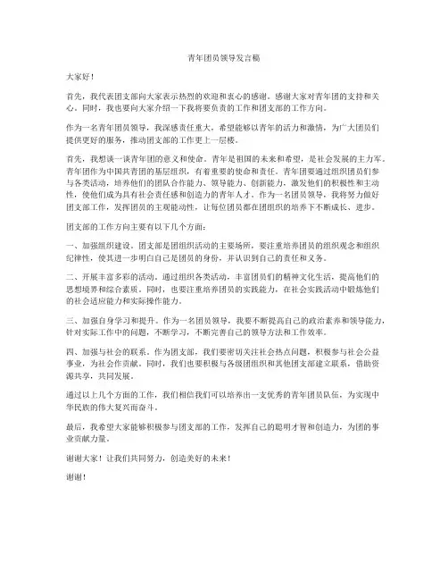 青年团员领导发言稿